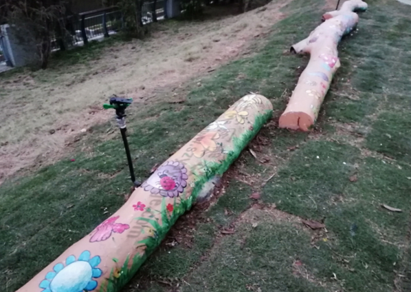 2018年12月深圳龍華觀瀾湖畔河公園枯樹涂鴉